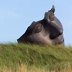 Hotel Zest Den Haag - Scheveningen