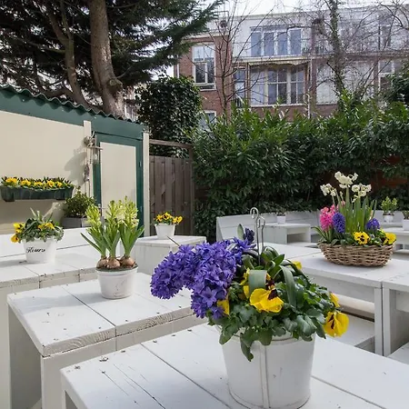 Hotel Zest Den Haag - Scheveningen 2* لاهاي