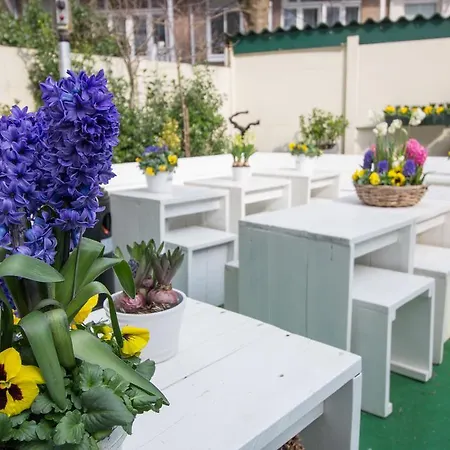 Отель Mimosa Scheveningen 2*