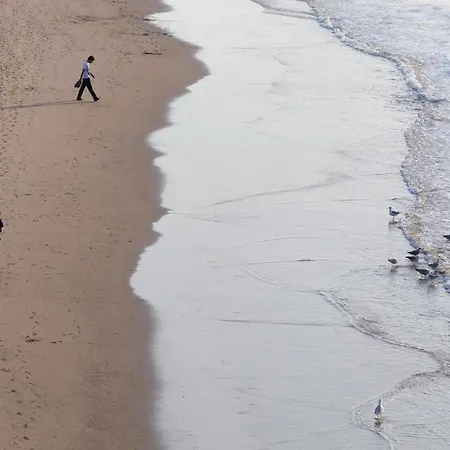 Mimosa Scheveningen 2* Гаага