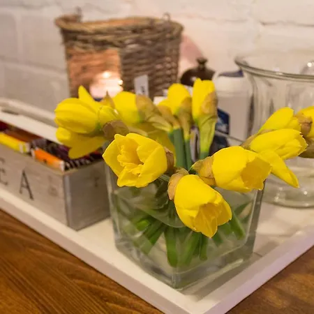 Hotell Hotel Mimosa Scheveningen