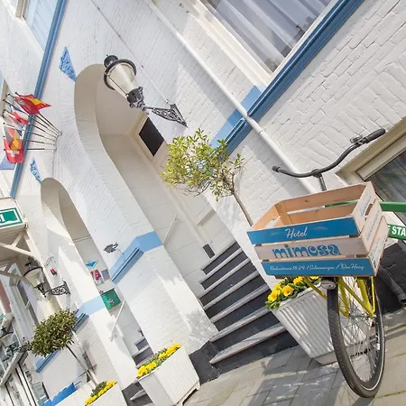 Hotel Mimosa Scheveningen 2* Haag