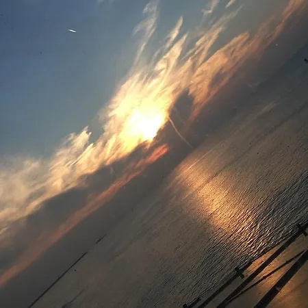 Hotel Mimosa Scheveningen