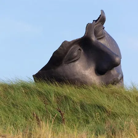 Hotel Mimosa Scheveningen