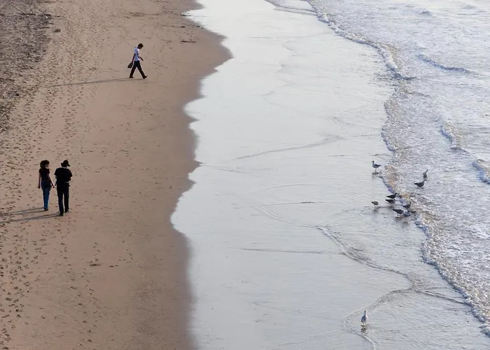 Hotel Zest Den Haag - Scheveningen 2* The Hague